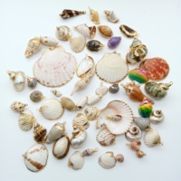 Berbagai Liontin Kerang Pantai Scallop Baru yang Cantik, Gaya Conch, Berlapis Emas Alami, Liontin Kerang Kecil Nan Indah, Manik-Manik Kerang Kecil Nan Menawan
