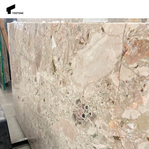 Tostone Ceppo Breccia Rosa marmo una superficie audace e levigata che solleva bagni e pareti interne con bellezza naturale - Product Image 5