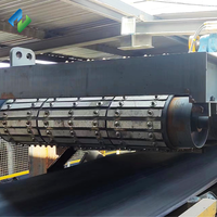 Automatischer Magnetabscheider für Förderbänder zur Eisenerzverarbeitung, Tramp-Eisen-Separator