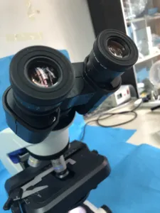 पेशेवर प्रयोगशाला जैविक माइक्रोस्कोप CX23 के साथ एलईडी और 30 डिग्री इच्छुक द्विनेत्री ट्यूब