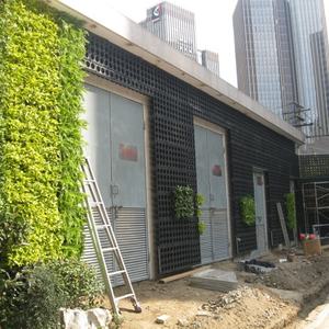 Module de mur végétal SL-Y5012, panneau mural vert, jardin vertical - Product Image 5