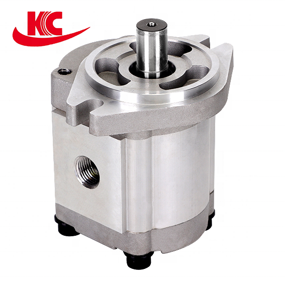 Chinese manufacturer High Pressure steering hydraulic pumps for loader and boats