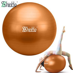 Balón de Yoga Suizo de Estabilidad de 65cm 55cm, Antideslizante, Antiexplosión, Ecológico, con Logotipo Personalizado ODM, Color Personalizado, para Gimnasio y Hogar, el Más Vendido de Shinho - Product Image 1