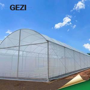 Meilleure solution pour installer une moustiquaire transparente pour couvrir les plantes de tomates dans un tunnel polyvalent - Product Image 2