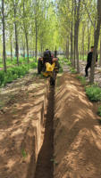 Moteur diesel pour tranchage de vergers et vignobles, haute productivité, disponible avec plus de 40 chevaux