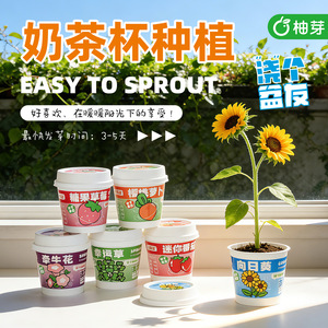 Pot de culture pour plantes d'intérieur Luck Grass, mini pot de bureau, cadeau pour enfants, récompense scolaire - Product Image 4