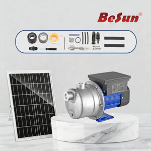 Pompe à eau solaire BESUN 1HP 750W DC avec moteur sans balais à aimant permanent <span class=keywords><strong>pour</strong></span> l'<span class=keywords><strong>arrosage</strong></span> des jardins domestiques, pompe à jet de surpression - Product Image 2