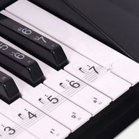Pegatinas de teclado de piano de PVC adhesivas con logotipo personalizado para 37/49/54/61/88 teclas para principiantes niños calcomanías de teclas de piano extraíbles