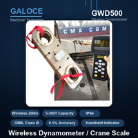 Dynamomètre sans fil portable GWD500, 5 tonnes, mesureur de tension, balance de levage avec fonction de maintien de la valeur maximale
