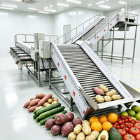 YOUBAN Commerciële Weegscheidsmachine voor het sorteren van fruit en groenten, geschikt voor het sorteren van aardappelen, uien, mango's en aardbeien.
