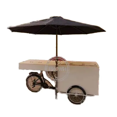 2023 Customized Tricycles Folding Electric Cargo Bike Ice Cream Snack Coffee Freezer Machine Fridge Cart