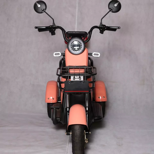 Mini tricycle <span class=keywords><strong>électrique</strong></span> à trois roues pour passagers, vélo cargo, batterie amovible, tricycles pour adultes, scooter <span class=keywords><strong>électrique</strong></span> à trois roues - Product Image 6