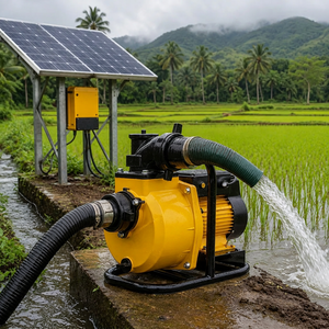 Fabricante de Bombas Solares de Superficie, <span class=keywords><strong>Kit</strong></span> de Sistema de Bomba de Agua Personalizado OEM al por Mayor con Panel <span class=keywords><strong>Solar</strong></span> y Controlador MPPT - Product Image 1