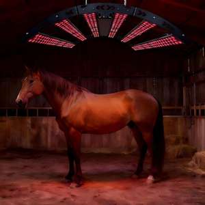 Led Suspendus Chevaux Equipement Equin 660nm 850nm Led Lumière Rouge Proche Infrarouge Pet Therapy pour Cheval Panneau - Product Image 3