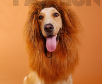 Parrucca di criniera di leone personalizzata all'ingrosso per cani Costume per cani di piccola taglia