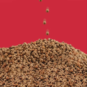 Cibo per Pesci <span class=keywords><strong>Discus</strong></span>: Probiotici e Astaxantina Aggiunti, Contiene Carotenoidi, Nutrizione Completa - Product Image 1