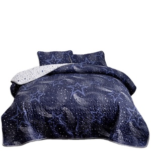 Giá Rẻ Microfiber Polyester Hot Sale Sao Sky Patterns 3 Cái <span class=keywords><strong>Quilt</strong></span> Sets Trải Giường Coverlet Giường Cover Set - Product Image 1