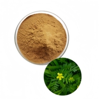 Extrait de Tribulus Terrestris Pur et Naturel de Haute Qualité en Poudre, Saponines, Extrait de Tribulus Terrestris