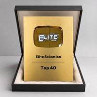 Plaque de récompense personnalisée en papier doré avec insert en métal miroir, logo personnalisé pour événement d'entreprise, prix de reconnaissance