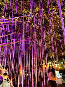 1.5Mm 700M/Cuộn Trung Quốc Thương Hiệu Sợi Quang Trần Sao Bầu Trời Đầy Sao Chiếu Sáng Cáp Dây Cho Thiên Hà Sao Ánh Sáng - Product Image 2