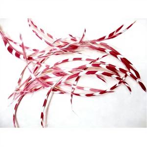 Plume de biot colorée estampée pour loisirs créatifs, coiffure, déguisement, montage de mouches de pêche, ornement, décoration à franges de rêve - Product Image 2