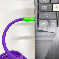 2025 nouveauté bricolage Chubby Silicone liquide 240W USB C à C câble de charge de téléphone rapide pour iphone 15 Pro Max iphone 16 Pro Max