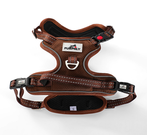 Produk anjing populer Set <span class=keywords><strong>Harness</strong></span> anjing Neoprene dengan tali leher anjing yang cocok Set Bandana dan dasi kupu-kupu - Product Image 6