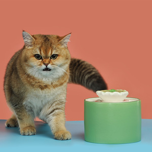 Fontaine à eau pour chat de style feuille de lotus, en céramique, à circulation automatique, chauffante, à température constante, pour animaux de compagnie, à poser sur le bureau - Product Image 1