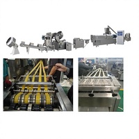 Machine à fabriquer des bâtonnets de salade frits, des bugles et des croûtes de riz, extrudeuse à double vis, ligne de production de snacks pour usine alimentaire