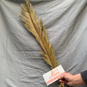 KEWEI T483 Hojas Secas de <span class=keywords><strong>Cycas</strong></span> y Palma Más Vendidas, Planta Natural de 80 cm, Decoración Boho para Bodas, Navidad y Pascua - Product Image 5