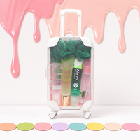 Vente en gros : Nouvelle boîte d'emballage de luxe carrée pour mini-valise, boîte à cils, mini bagage à main, bagage de voyage, avec logo personnalisé pour fournisseur