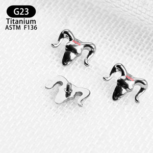 Boucles d'oreilles clous en titane G23 ASTM F136, bijoux de piercing unisexe tendance - Product Image 2