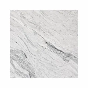 Hochwertige Viscon White Granite Gang Saw Slab Hot Selling Exporteure von indischen Lieferanten