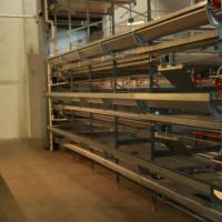 Système d'alimentation automatique pour la ponte des œufs Offre Spéciale batterie d'élevage volaille ferme couche oiseaux poule poulet Cage
