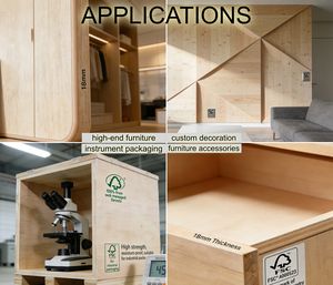 FSC-zertifizierte Baltische Birkensperrholzplatte 18mm, 4x8 Fuß – Vorbehandelt für Möbel & Schränke - Product Image 4