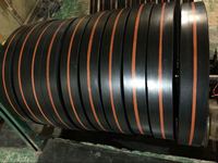 Nastro Trasportatore per Elevatore a Benna, Nastro Industriale Resistente per Movimentazione Verticale dei Materiali