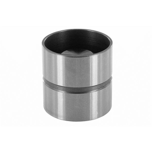 Hydraulische klepstoter voor BMW FORD AUDI SEAT VOLVO OEM 1649127 1669765 9186568 1639187 74109309 - Product Image 2