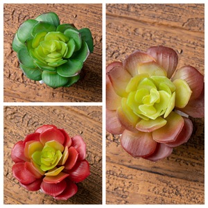 Planta Suculenta Artificial CallaFloral, Paisaje en Miniatura, Decoración de Interiores, Decoración de Bodas, Rojo Otoñal, Verde, PVC, Goma Suave - Product Image 3