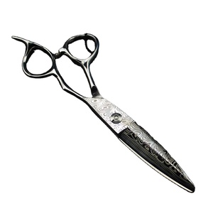 Ciseaux à cheveux professionnels 6 pouces, coupe de cheveux, salon de coiffure, motif damas, ciseaux en saule - Product Image 1