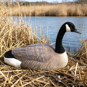 Décoy de chasse au canard sauvage durable, directement de l'usine, pour activités extérieures - Product Image 4