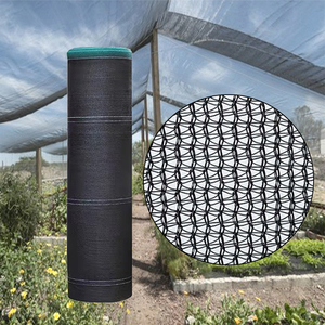 <span class=keywords><strong>Malla</strong></span> <span class=keywords><strong>de</strong></span> sombreo monofilamento negra personalizada para invernadero agrícola 2x50m 3x50m 4x50m <span class=keywords><strong>Precio</strong></span> por <span class=keywords><strong>metro</strong></span> <span class=keywords><strong>cuadrado</strong></span> - Product Image 1
