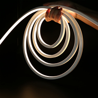 WITOP-cintrage supérieur 10*10MM IP67 LED Neon Light Rope 12/24V Lights Food Grade Silicone Strip Light pour la décoration extérieure