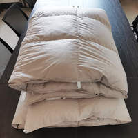 Édredon en duvet d'oie/canard personnalisé, 100% coton, 400 TC, 1 pièce, couette quatre saisons, hôtel
