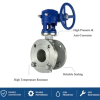 Katup Kupu-kupu ODM Gear Operated Raised Face SS304 Hard Seal CF8 Tahan Suhu Tinggi untuk Pembangkit Uap