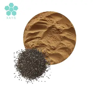 Factory Supply Chia Seed Powder Chia Seed Extract Powder