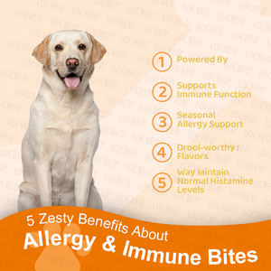 Probióticos para Perros, Enzimas Digestivas, Apoyo Inmunológico, Digestión Sensible, Masticables Suaves Seguros para el Intestino, Alergias Estacionales, 90 Unidades, Venta Caliente OEM - Product Image 4