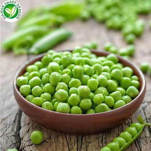 XMSD Piselli Verdi Congelati LQF, Migliori Piselli Freschi e Sani, Semi di Pisello Verde, Prezzo all'Ingrosso - Product Image 4