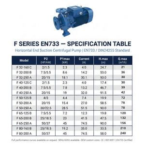 Bomba Centrífuga <span class=keywords><strong>de</strong></span> Acero Inoxidable Estándar EN733 OEM |   Diseño Personalizado F32-F80 50Hz/60Hz |   Fábrica con Certificación CE ISO 9001 y Plazo <span class=keywords><strong>de</strong></span> Entrega <span class=keywords><strong>de</strong></span> 30 Días - Product Image 3