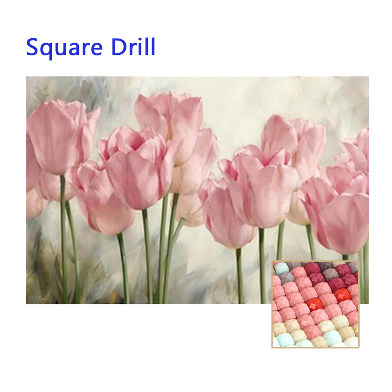 Tulipani rosa-trapano quadrato