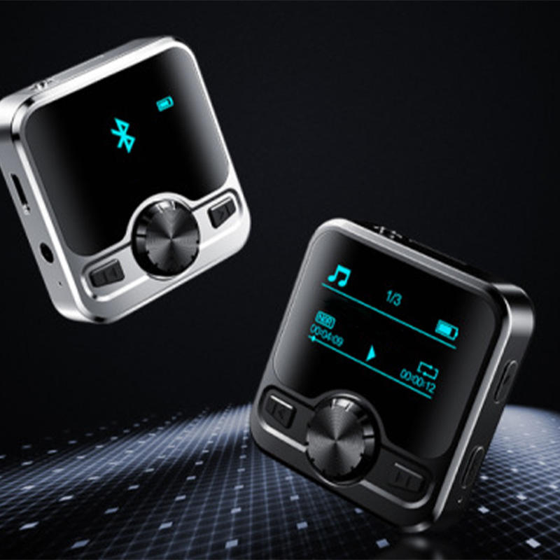 Black/Sliver (BT model)